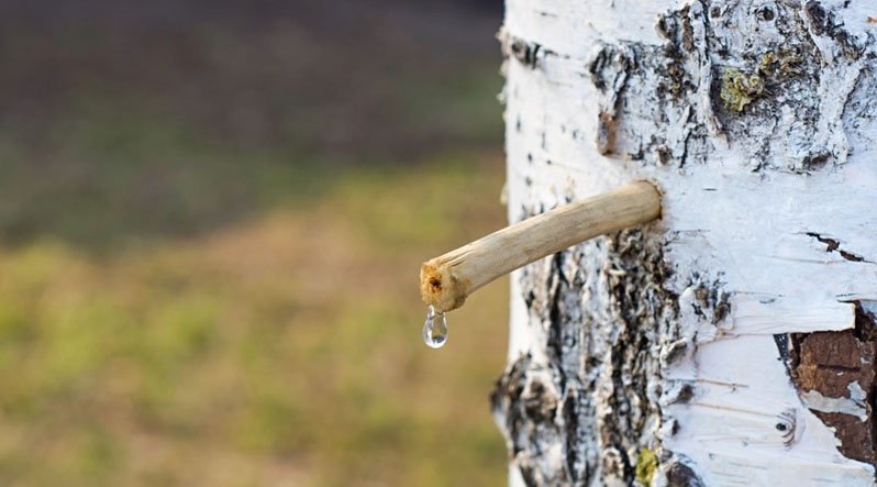 сік